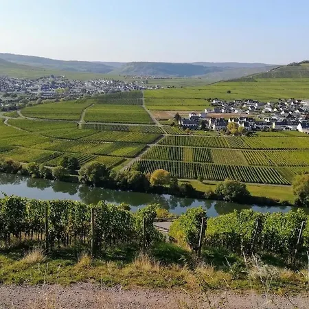 Auszeit Trittenheim