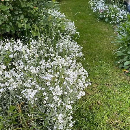 Holiday home In Mit Privatem Garten