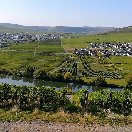 Сasa de vacaciones Auszeit Trittenheim